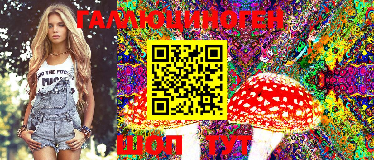 как найти закладки  Псилоцибиновые грибы Psilocybine cubensis  Вход с VPN  Вязники  Псилоцибиновые грибы прущие грибы 